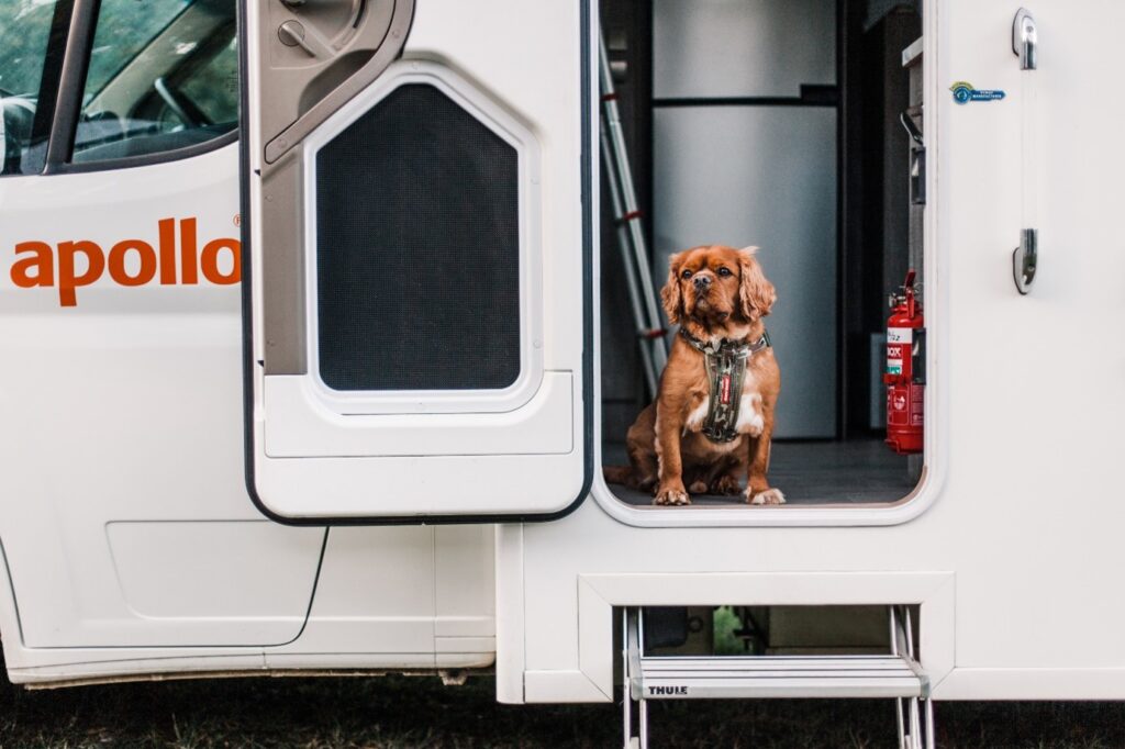 Can Pets Be Left Alone In A Caravan (or motorhome)