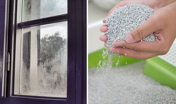 You are currently viewing How To Get Condensation Out Of Caravan Windows